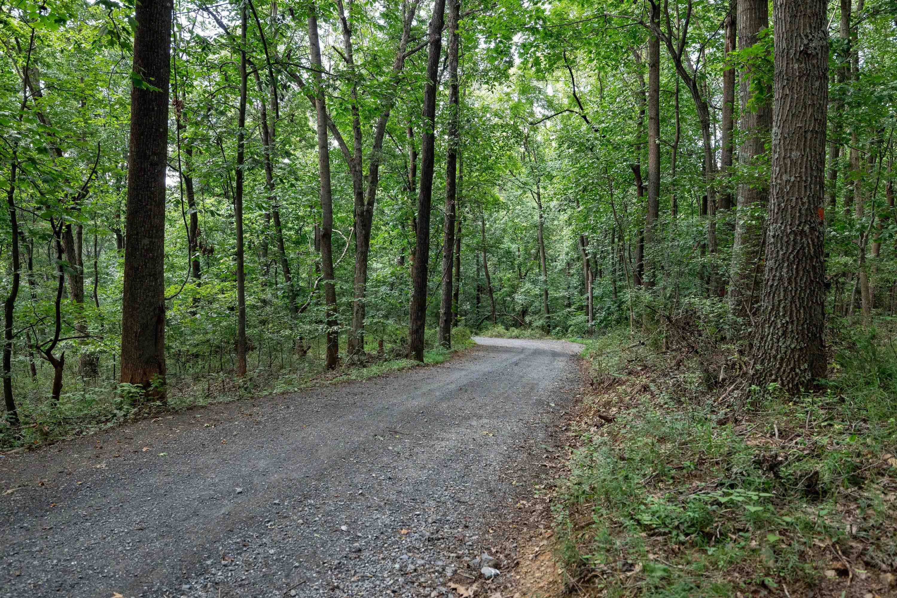 11180 Daphna Road Broadway, VA 22815 - Photo 58 of 75 The gravel driveway offers wooded views for a portion of the drive. This driveway offers lots of privacy.