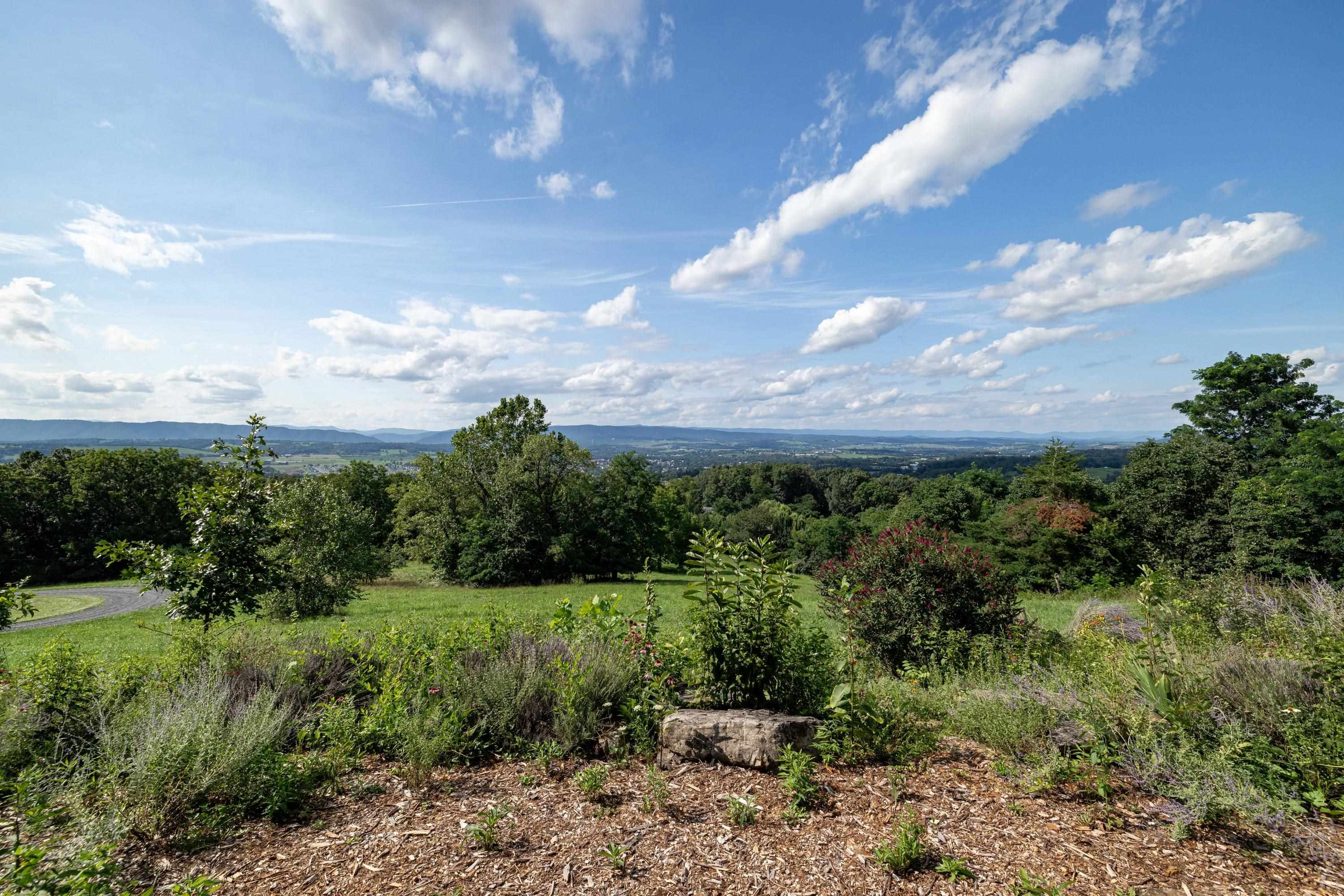 11180 Daphna Road Broadway, VA 22815 - Photo 63 of 75 The aerial view shows off the beauty of the views surrounding the home. From the porch you can view the mountains, valley, and overlook the spacious lot surrounding the home.
