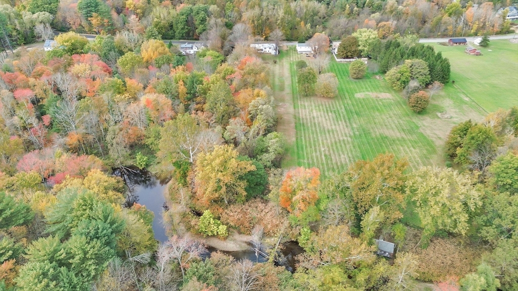 20 Pomeroy Meadow Road Easthampton, MA 01027 - Photo 39 of 42 a close up of a plant in a garden