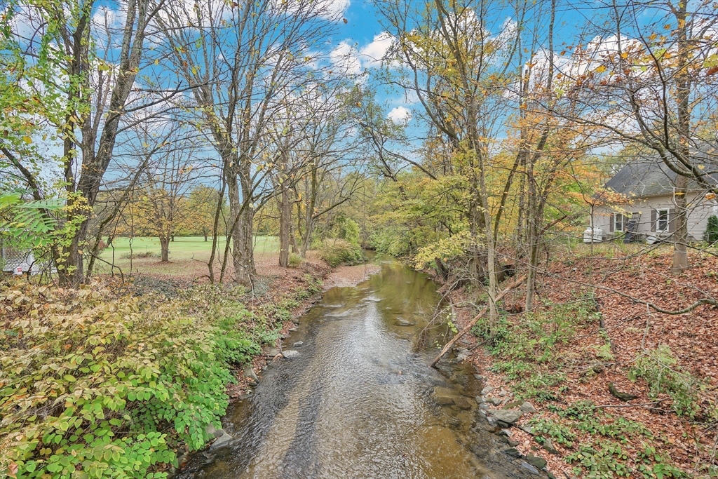 20 Pomeroy Meadow Road Easthampton, MA 01027 - Photo 4 of 42 a view of yard with trees
