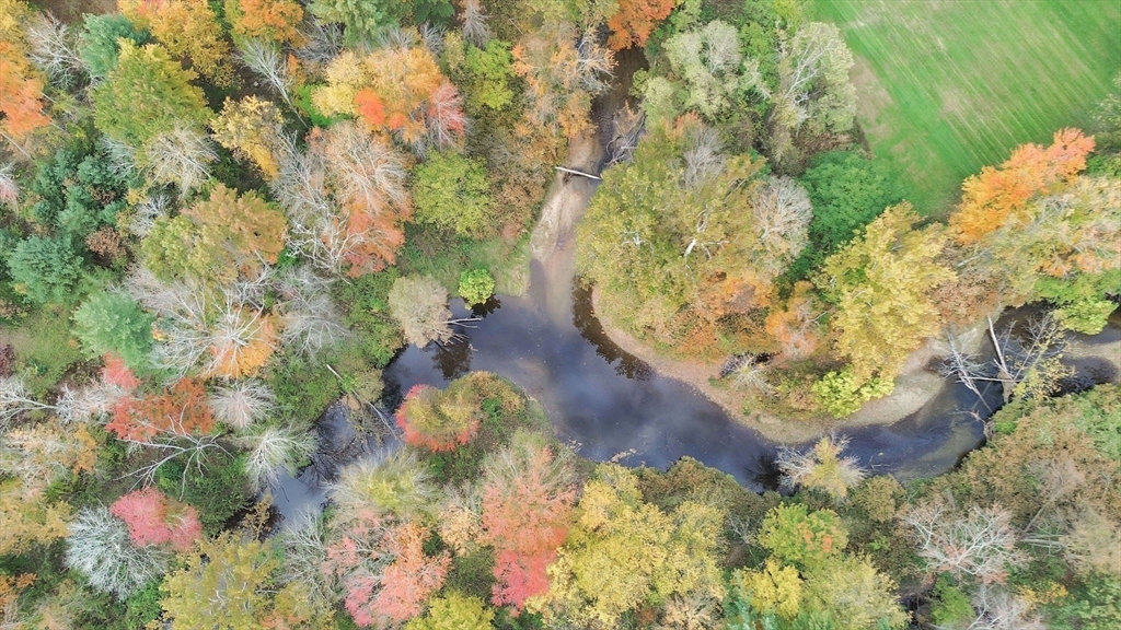 20 Pomeroy Meadow Road Easthampton, MA 01027 - Photo 41 of 42 a view of a flower arrangement in backyard