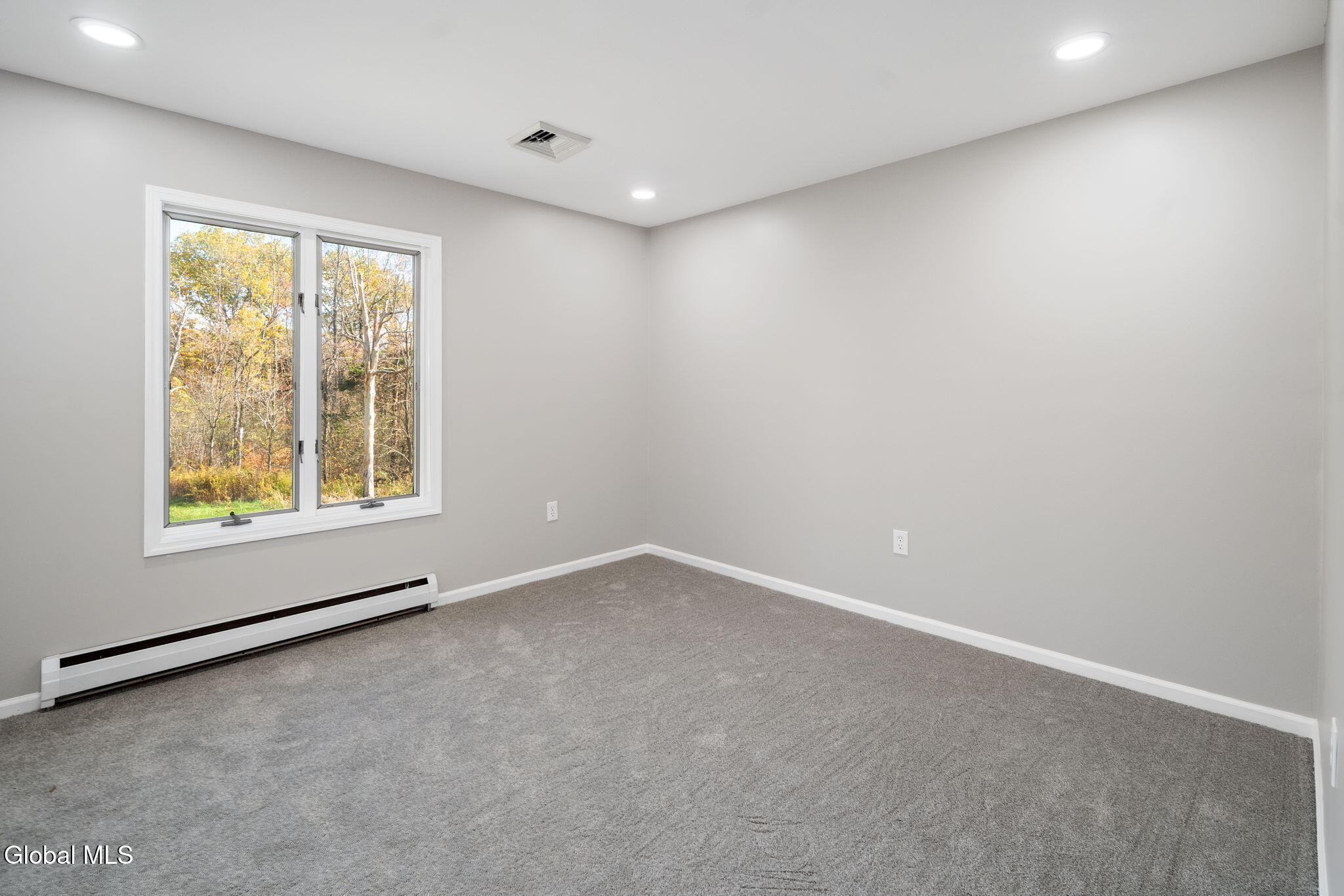 200 Hinrichsen Heights Road Coxsackie, NY 12051 - Photo 28 of 80 31-200HindrichsenHeights_31
