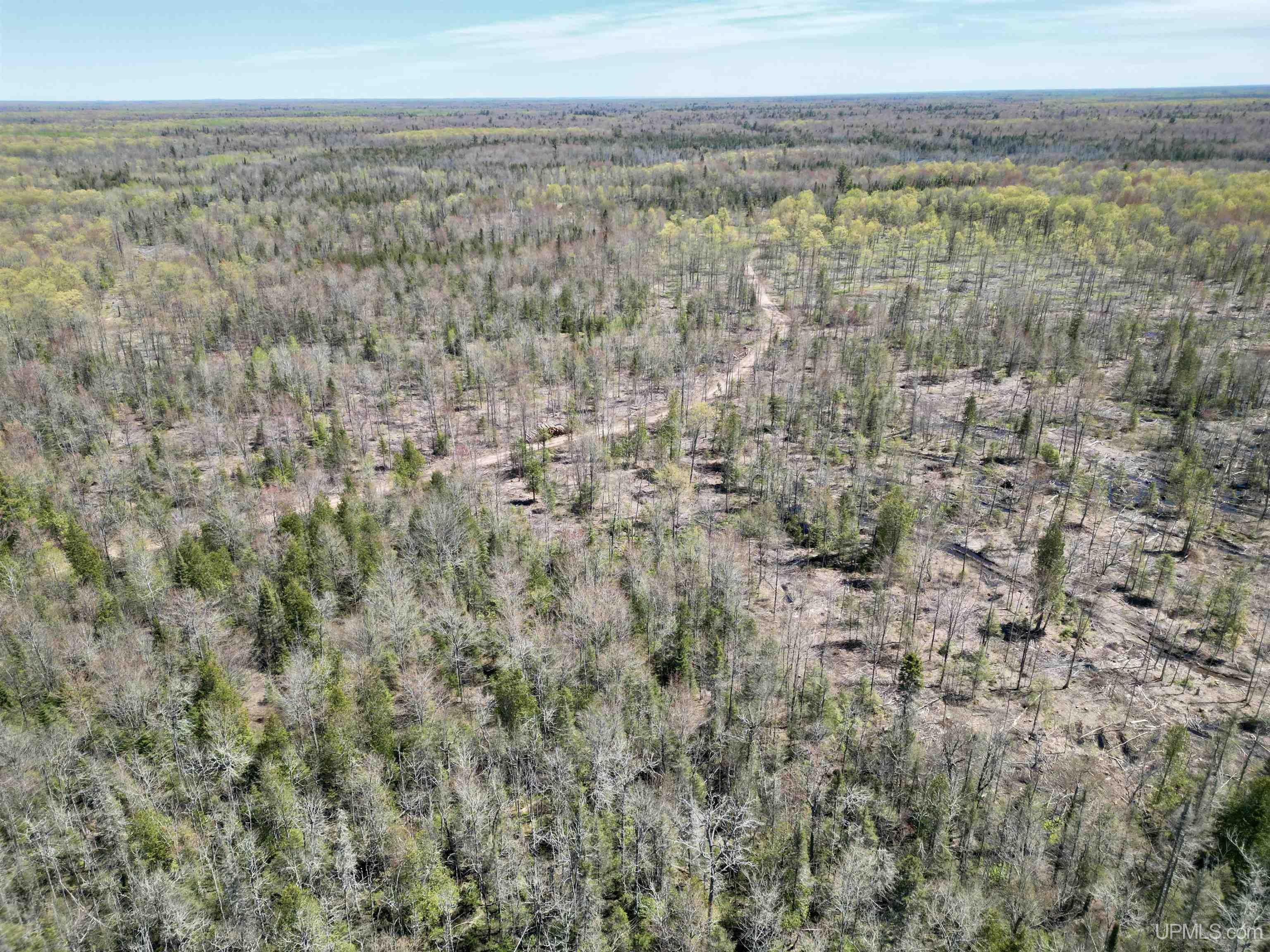 3601 Cr444 Road Rock, MI 49880 - Photo 38 of 78