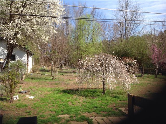 821 Blue Road Dickson, TN 37055 - Photo 5 of 5 Beautiful back yard
