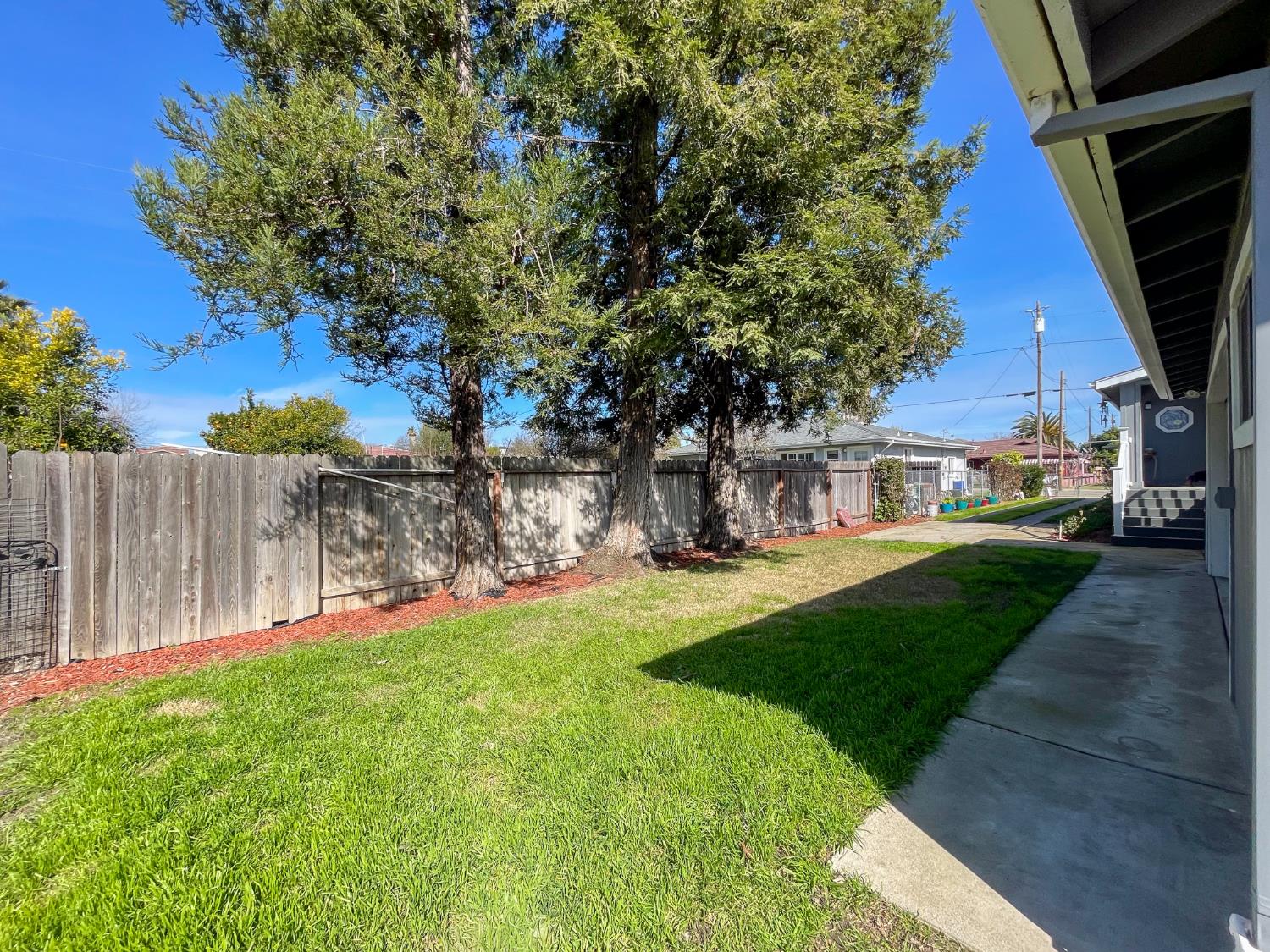 414 F Street Isleton, CA 95641 - Photo 16 of 49 a view of a yard with plants and a fountain