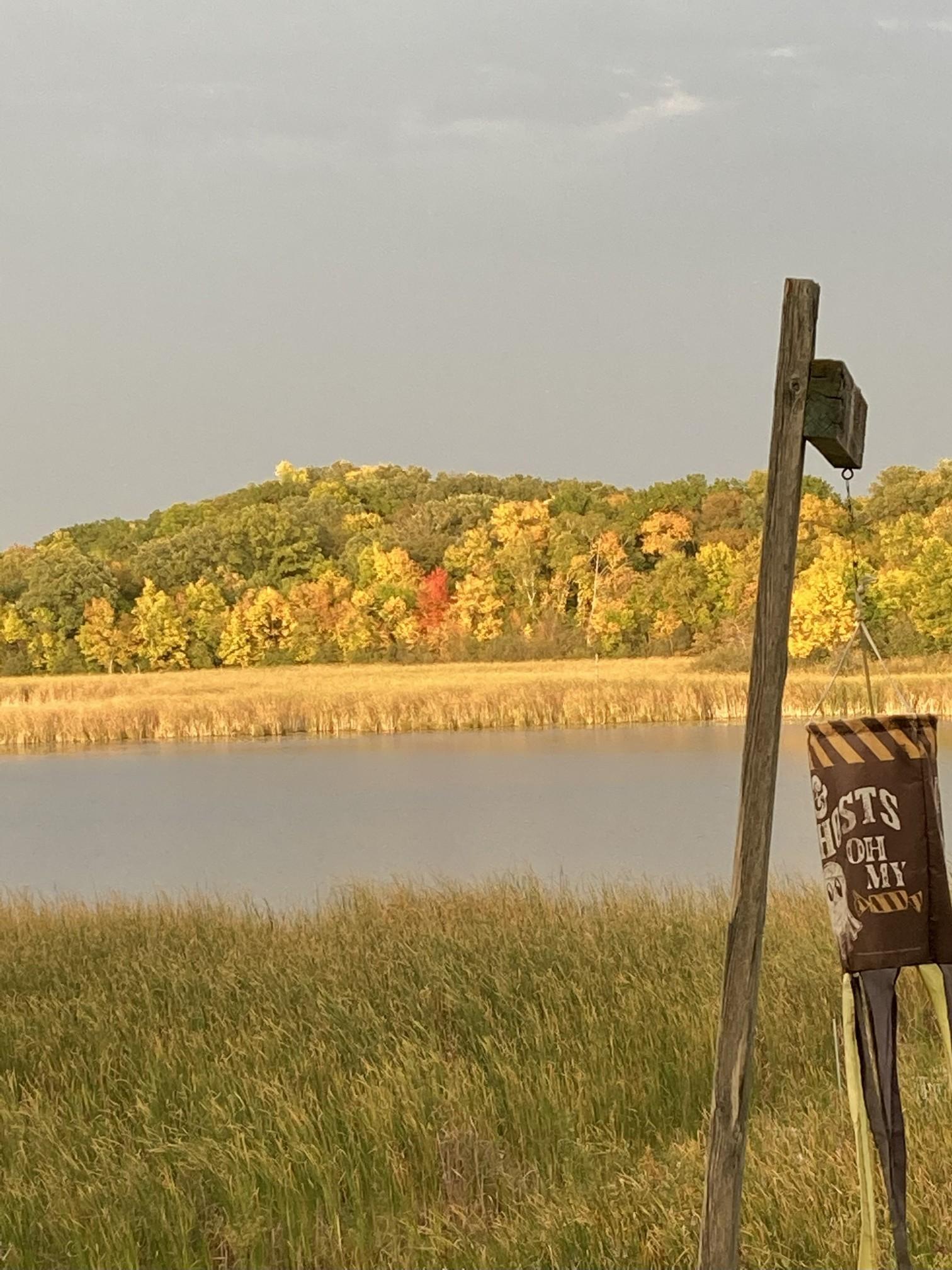 34092 Tower Road Albany, MN 56307 - Photo 2 of 36