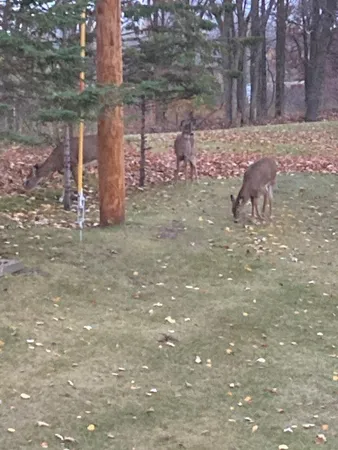 $474,900 | 34092 Tower Road, Albany, MN 56307