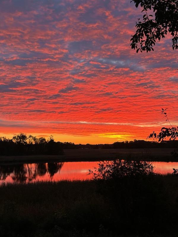 34092 Tower Road Albany, MN 56307 - Photo 29 of 36