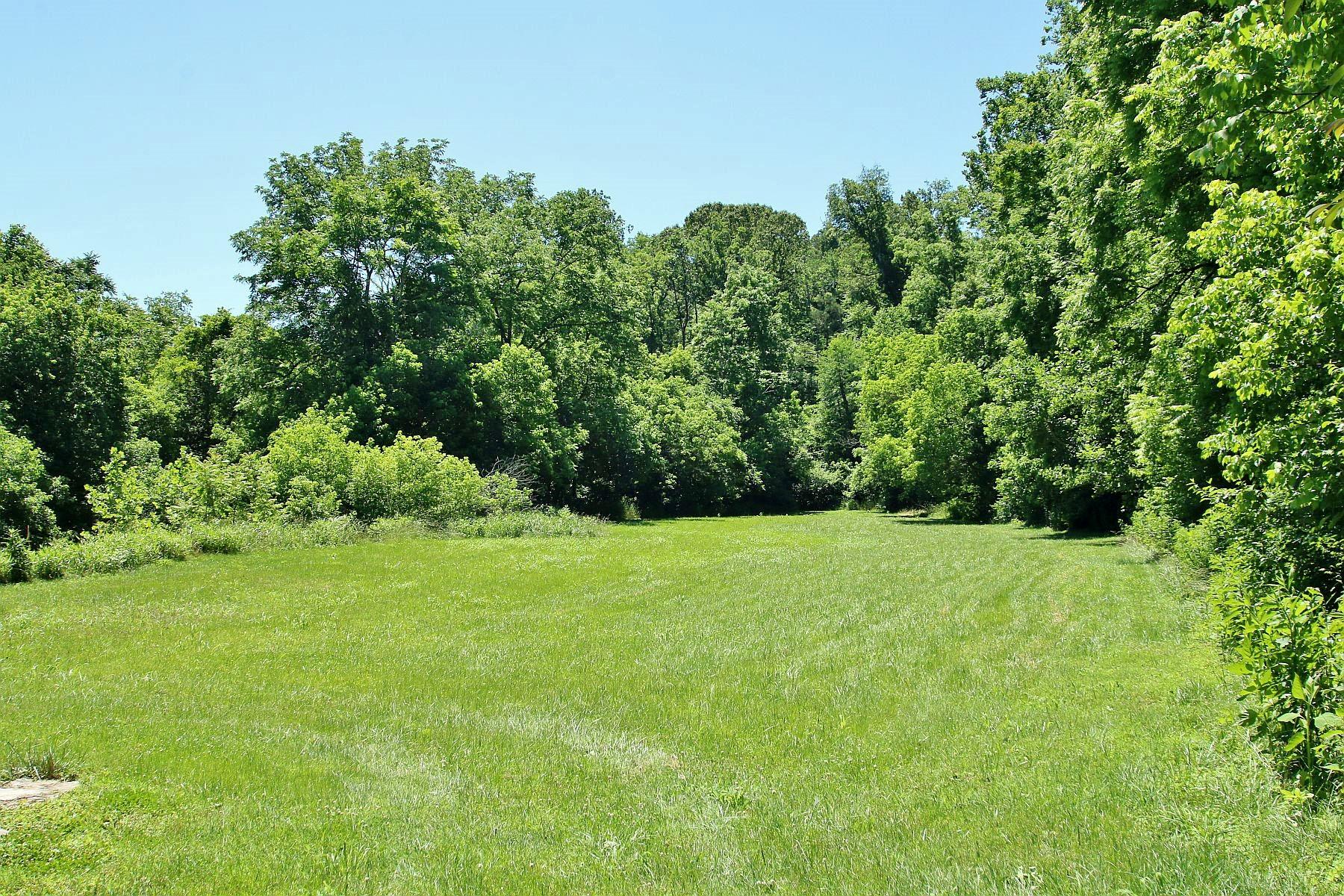 4050 Bonbrook Mill Road Boones Mill, VA 24065 - Photo 3 of 69 Pasture Land