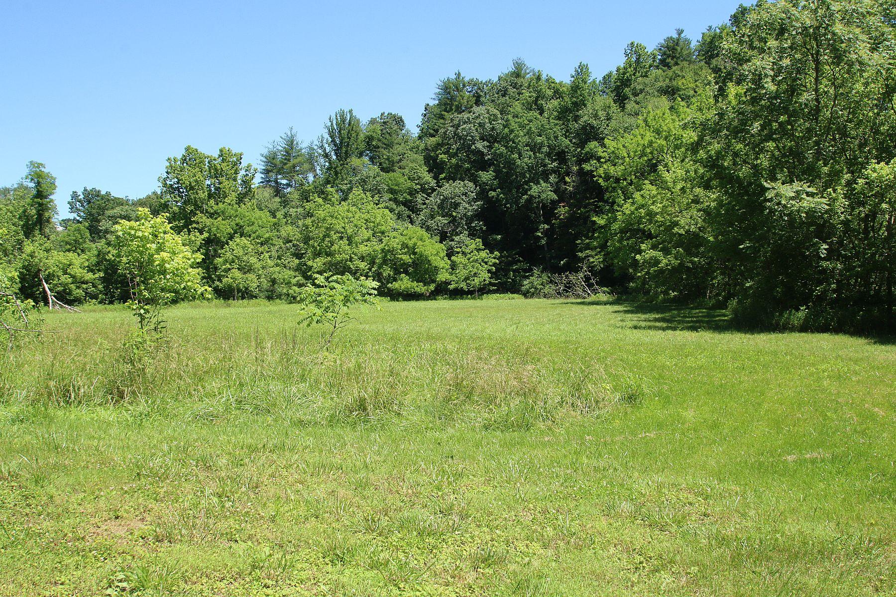 4050 Bonbrook Mill Road Boones Mill, VA 24065 - Photo 56 of 69 Pasture