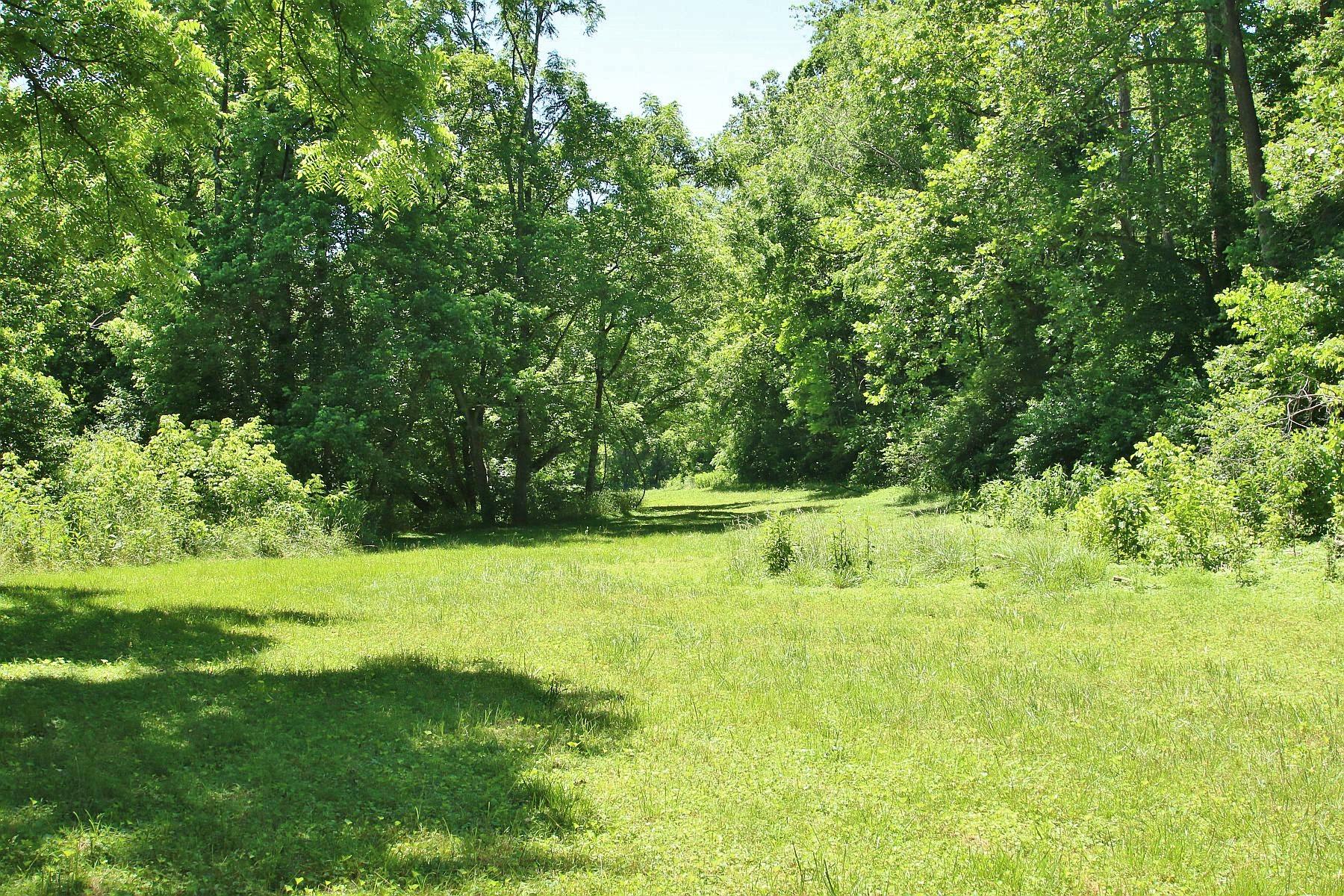 4050 Bonbrook Mill Road Boones Mill, VA 24065 - Photo 61 of 69 Pasture