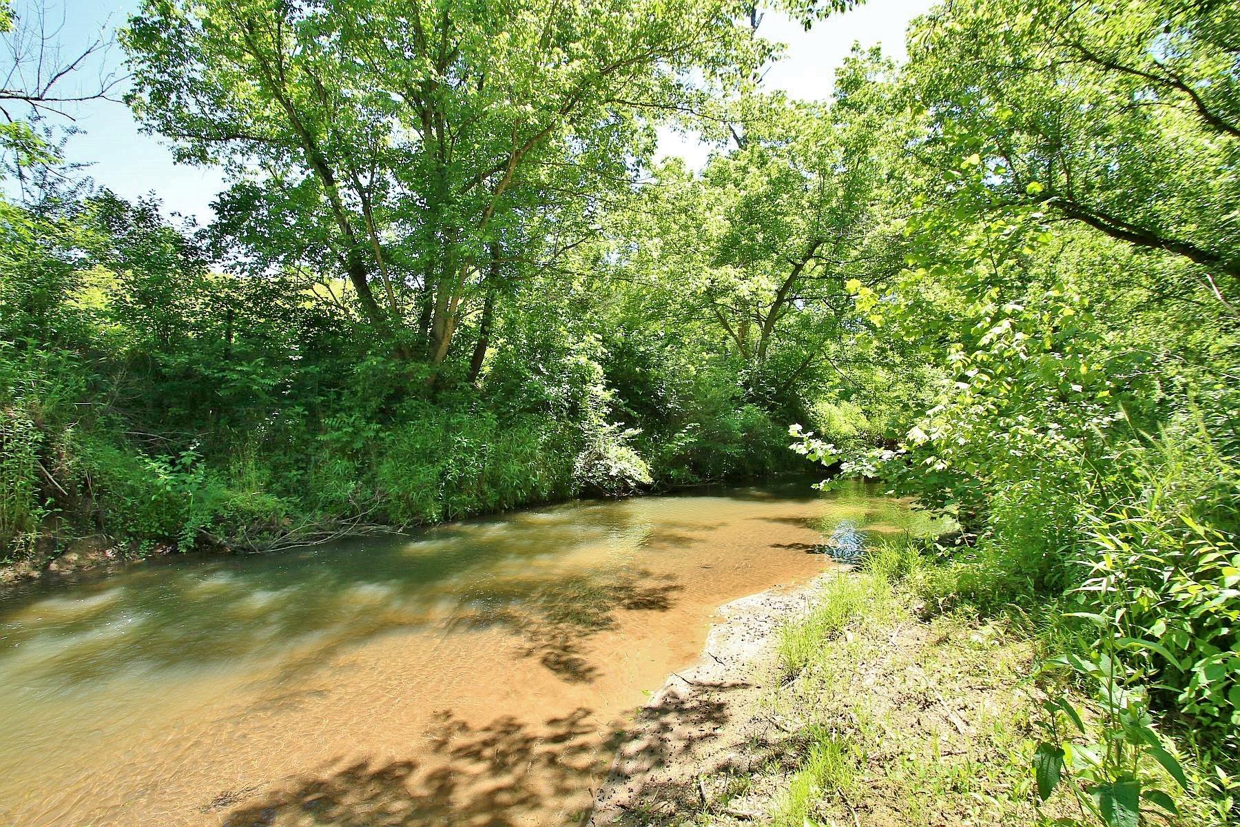 4050 Bonbrook Mill Road Boones Mill, VA 24065 - Photo 62 of 69 Creek frontage