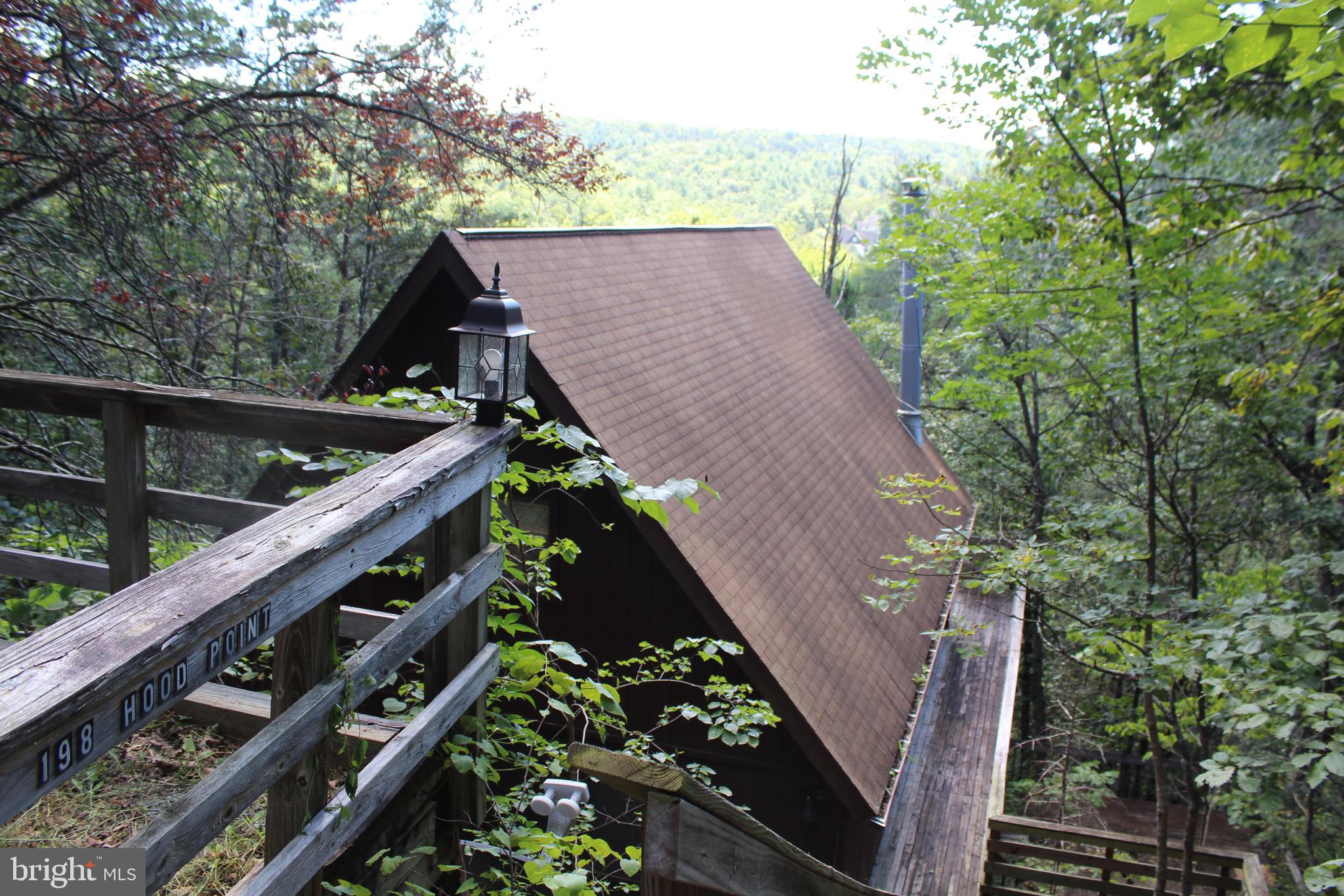 198 Hood's Point Road Basye, VA 22810 - Photo 2 of 23 a view of a house with a tree