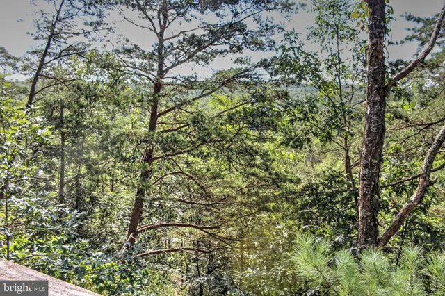 $339,000 | 198 Hood's Point Road, Basye, VA 22810