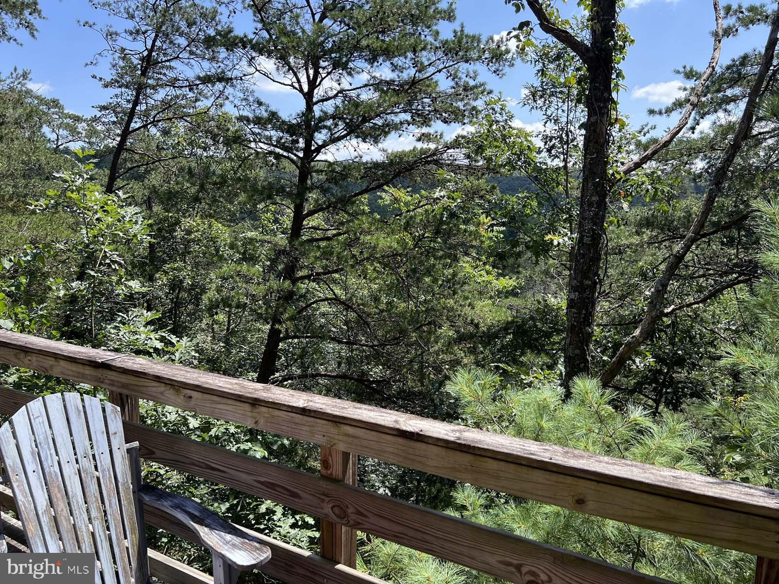 198 Hood's Point Road Basye, VA 22810 - Photo 3 of 23 a view of a balcony with outdoor space