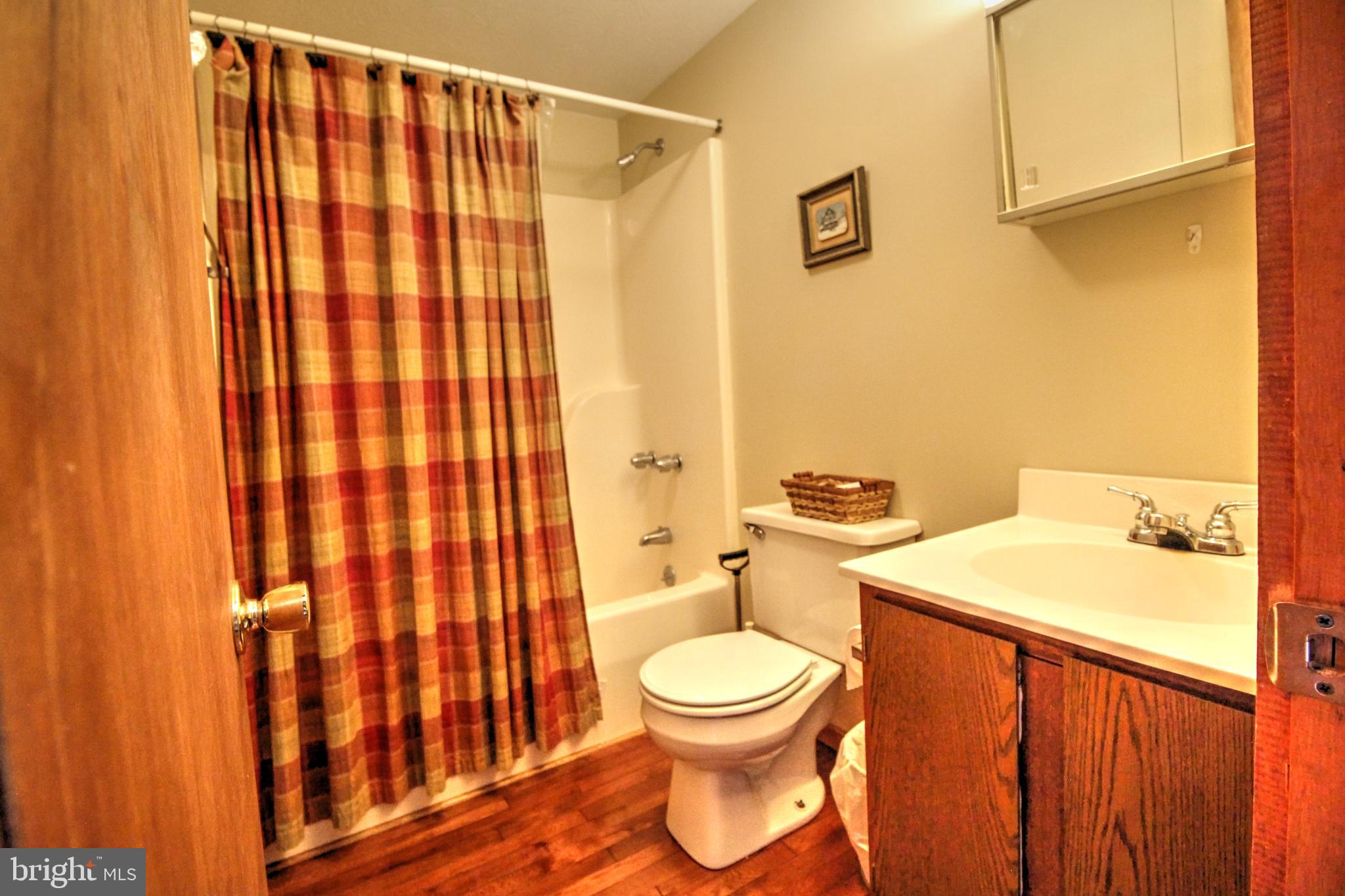 198 Hood's Point Road Basye, VA 22810 - Photo 9 of 23 a bathroom with a sink a toilet and shower curtain