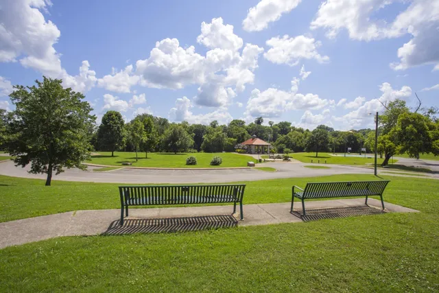 a view of a park with large trees