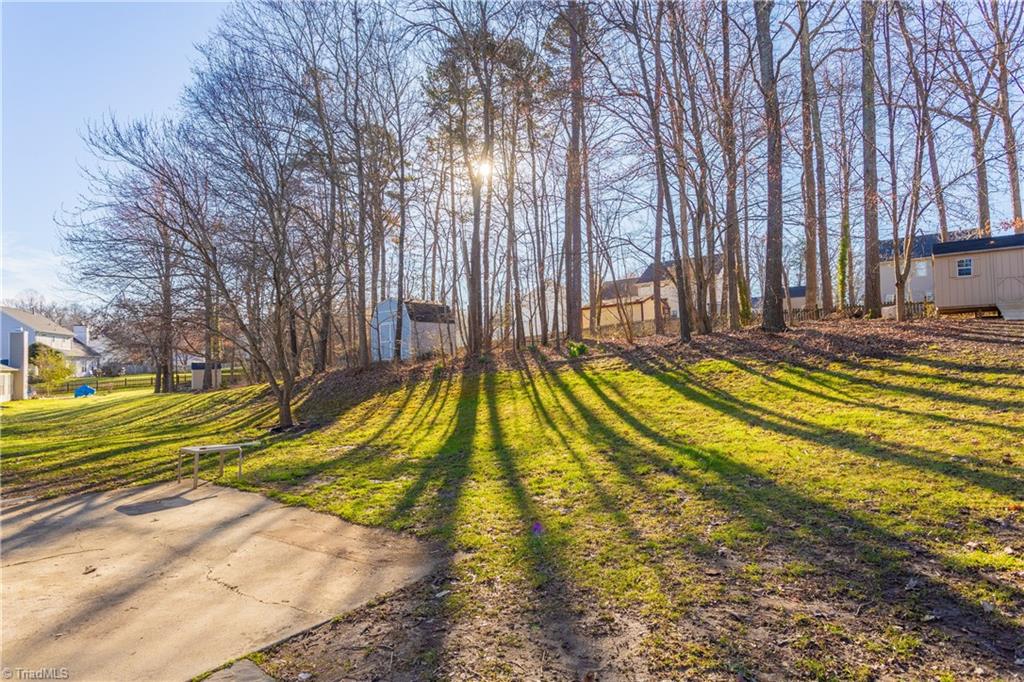 3308 Timberwolf Avenue High Point, NC 27265 - Photo 26 of 30 Rear yard