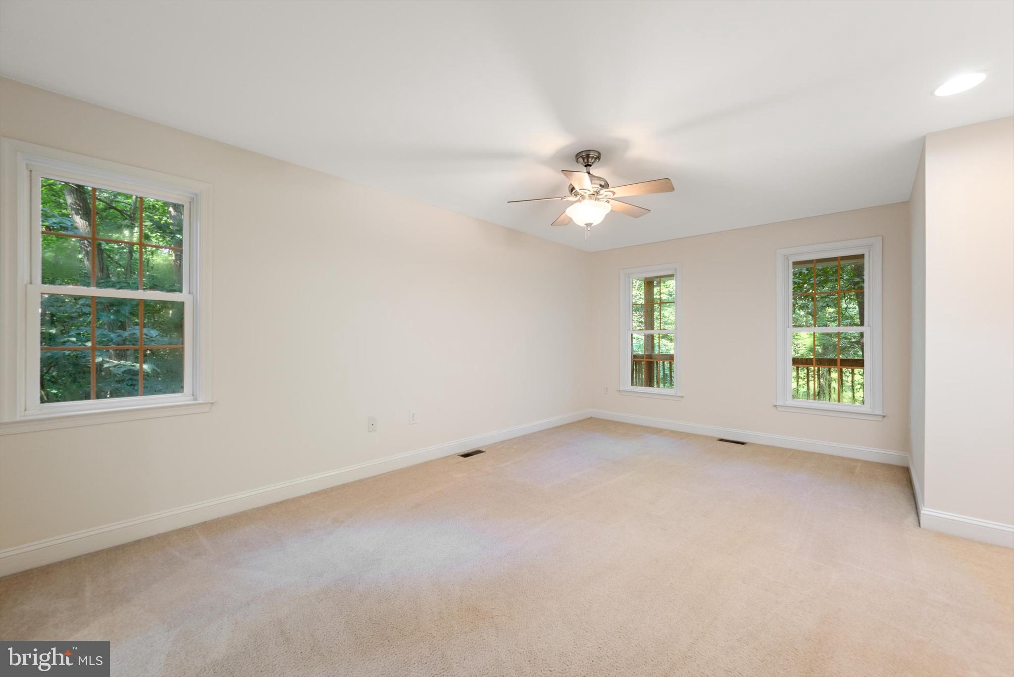175 Easy Hollow Road Front Royal, VA 22630 - Photo 21 of 42 an empty room with windows and fan
