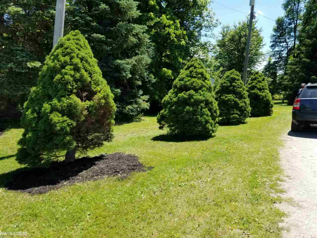 13615 Koehn Road Capac, MI 48014 - Photo 39 of 41