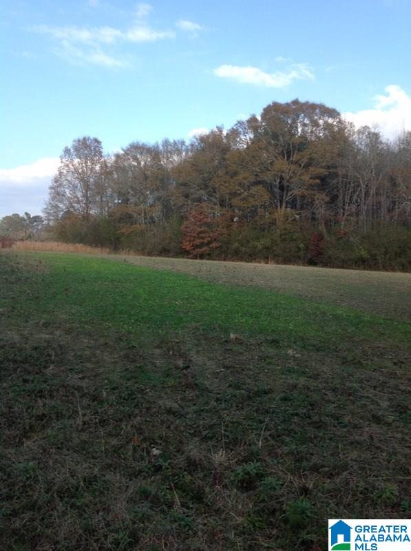 0 Lister Ferry Road, Unit 1 Gadsden, AL 35907 - Photo 27 of 30