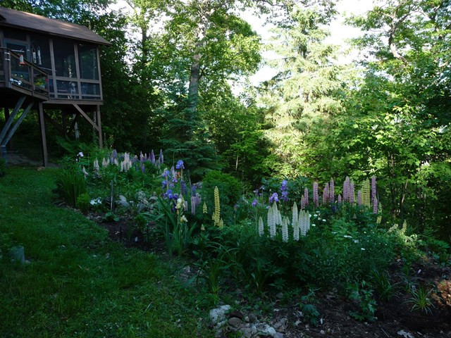 109 Rugged Ridge Way Keene Valley, NY 12943 - Photo 30 of 34 Gallery Image 30