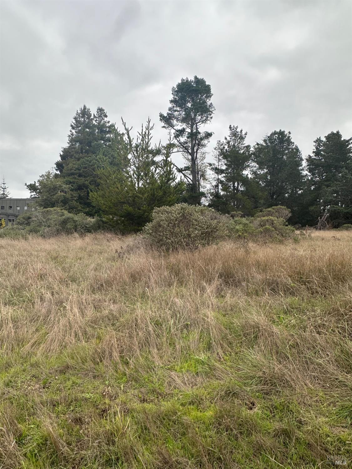 a view of a field with trees in the background