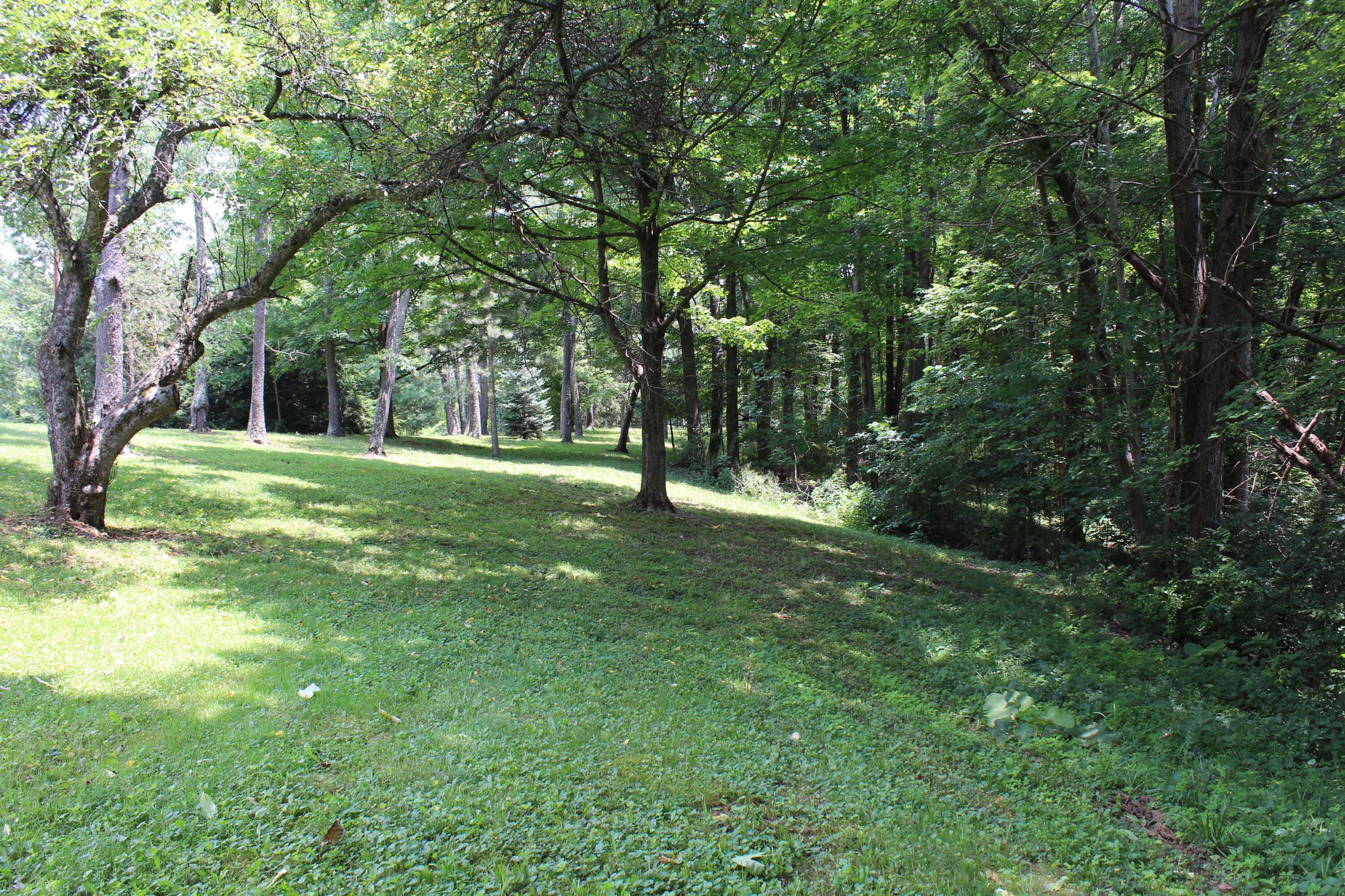 8870 Olentangy River Road Powell, OH 43065 - Photo 23 of 61 IMG_6700