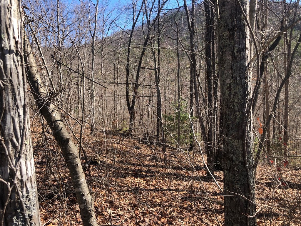 40 Hickory Tree Street Sevierville, TN 37876 - Photo 21 of 22
