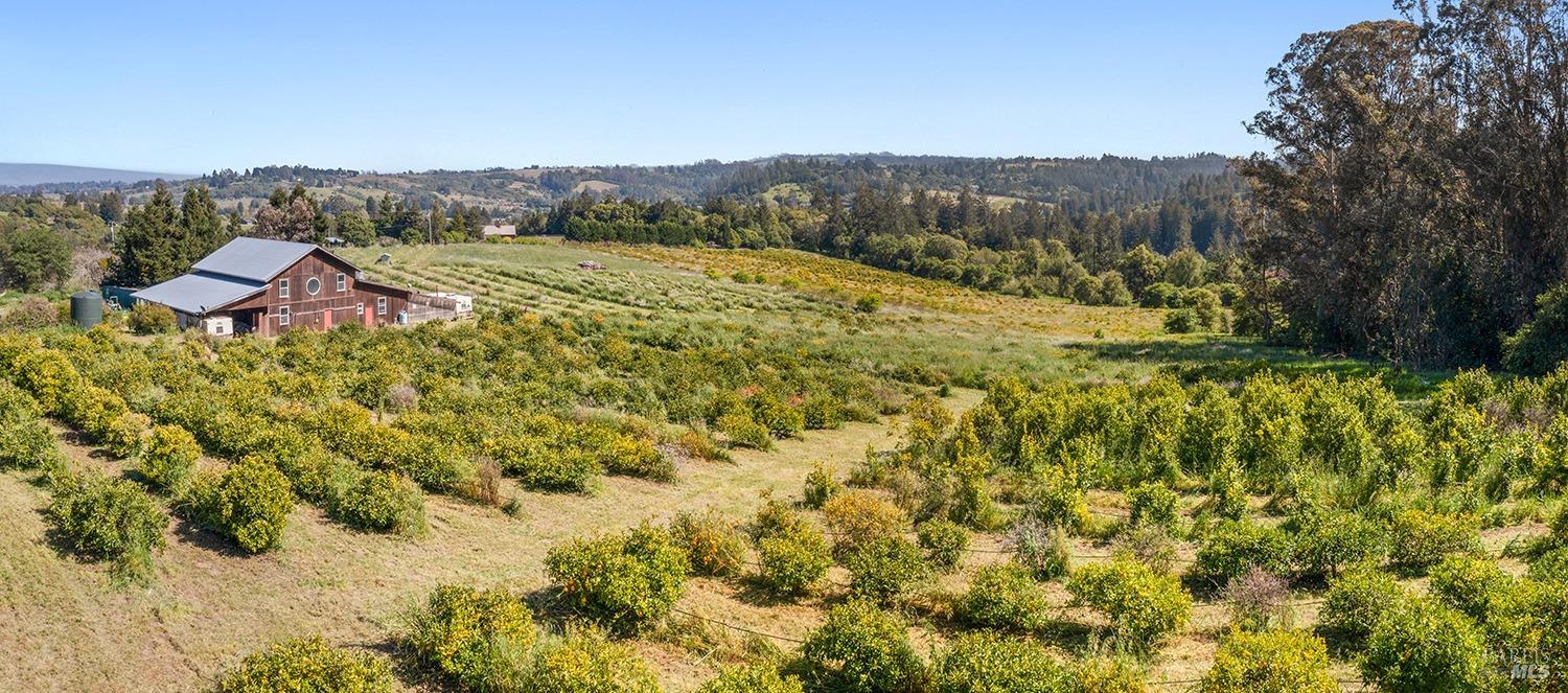 11031 Cherry Ridge Road Sebastopol, CA 95472 - Photo 1 of 1 a view of a lake with mountains in the background
