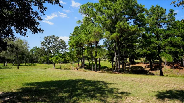 a view of outdoor space with garden