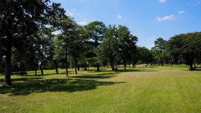 a yard with lots of trees and plants