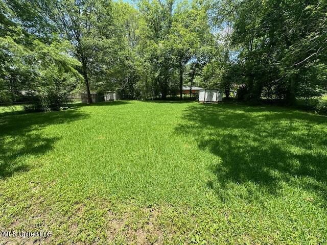 109 McRaven Street Clinton, MS 39056 - Photo 19 of 21 IMG_7701