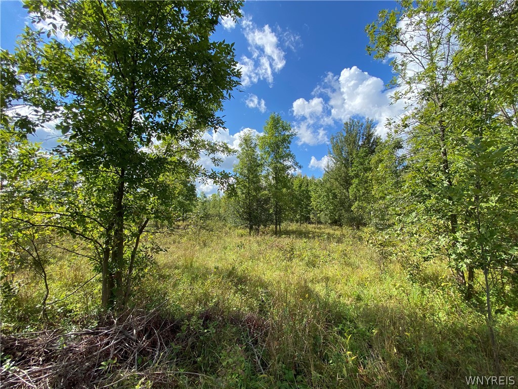9121 Roll Road Clarence, NY 14031 - Photo 1 of 1