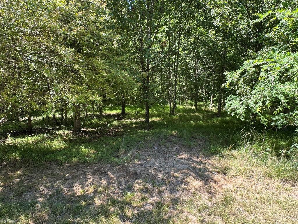 4728 Rumley Road Graham, NC 27253 - Photo 6 of 13 Gallery Image 6