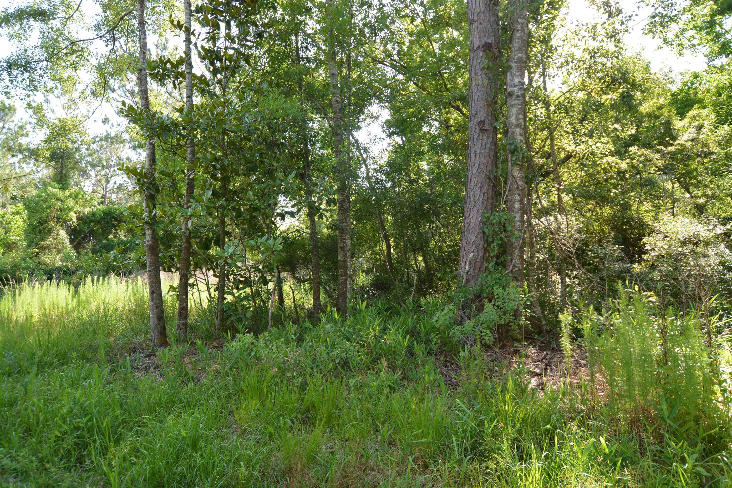 85 County Road 85 Robertsdale, AL 36567 - Photo 1 of 6