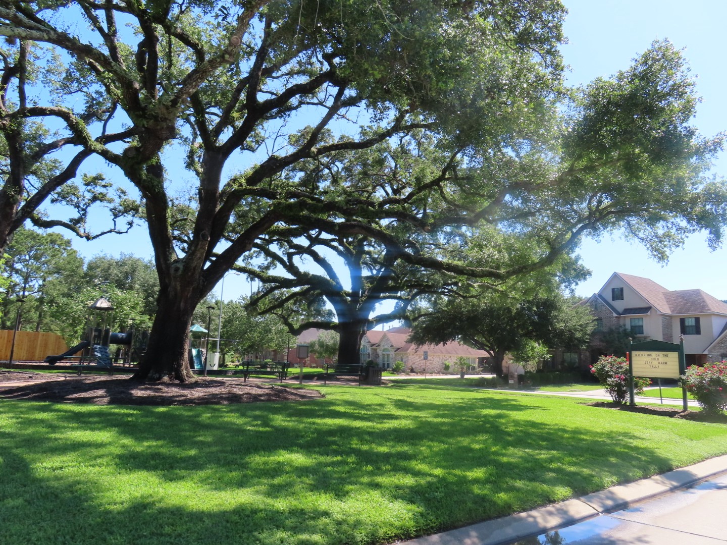 8419 Marchelle Lane Spring, TX 77379 - Photo 39 of 42 a view of a park with large trees