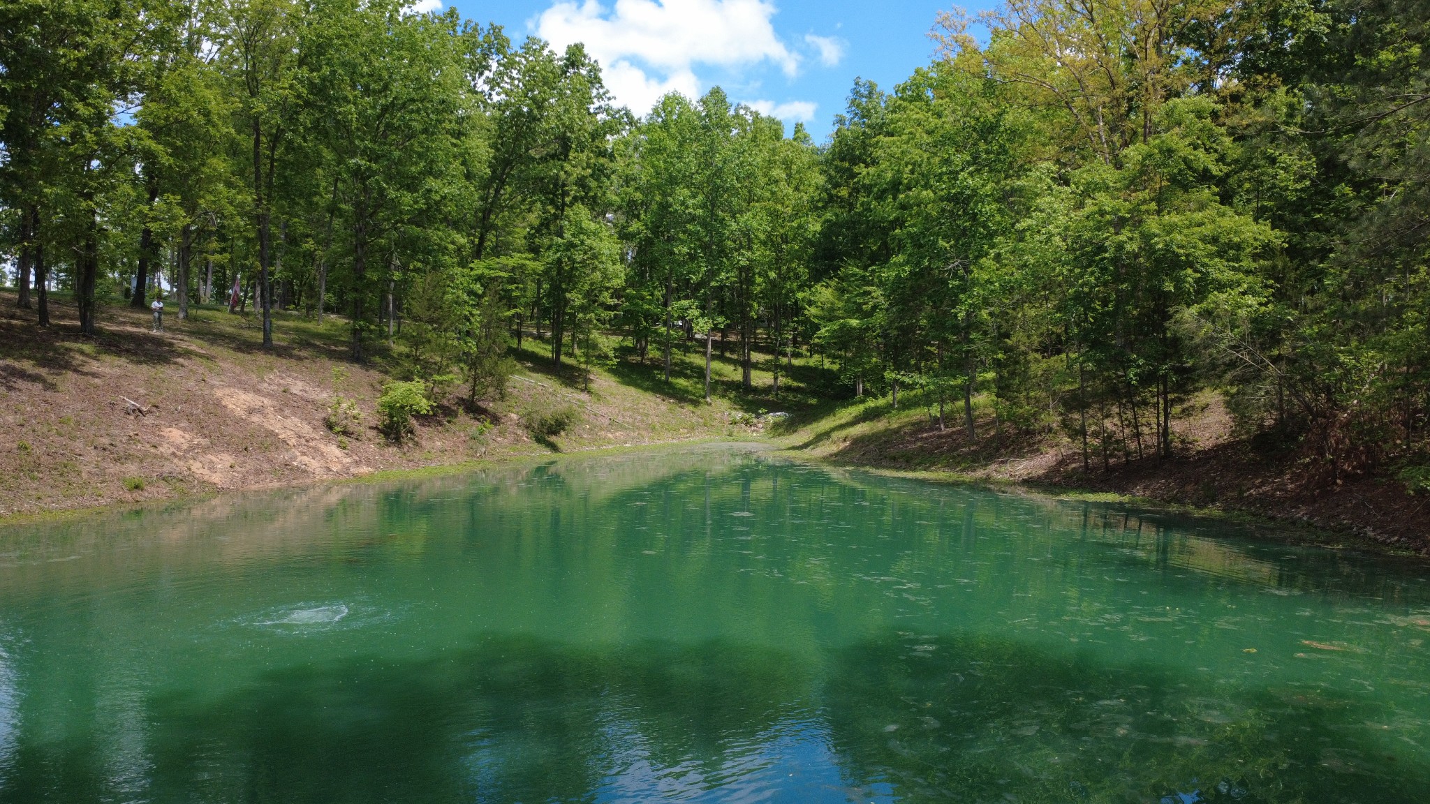 7948 Daugherty-Capley Road Primm Springs, TN 38476 - Photo 82 of 86