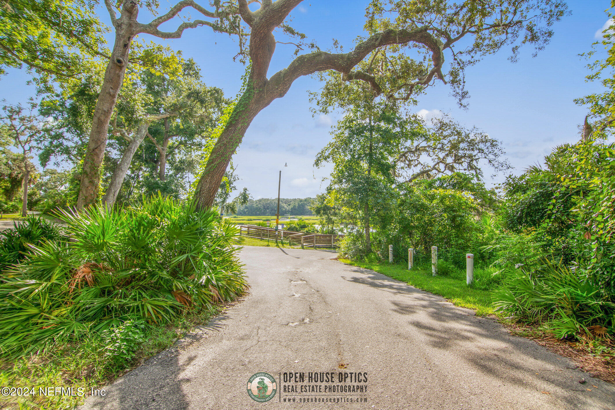 121 Cypress Road St. Augustine, FL 32086 - Photo 50 of 60 a view of a yard with plants