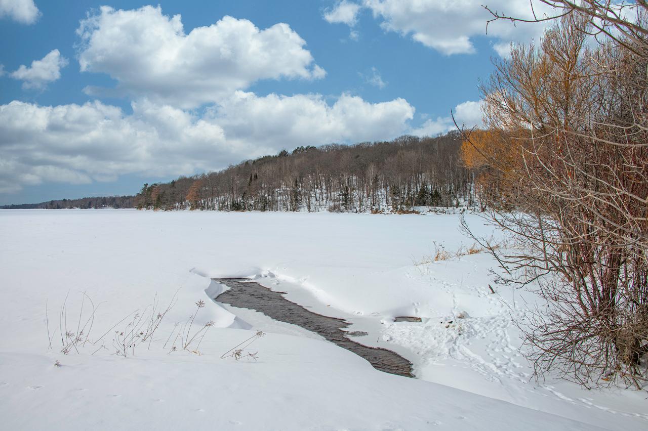 Off Off Cth Street Conover, WI 54519 - Photo 8 of 27 Gallery Image 8