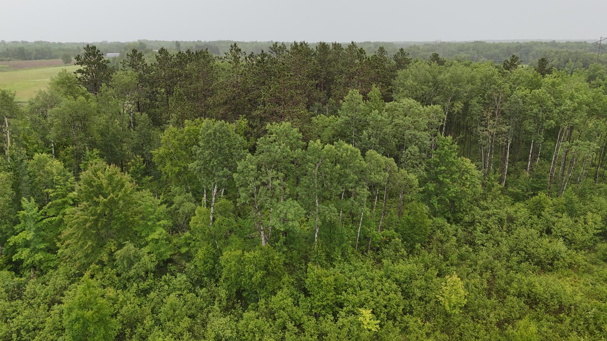 Tbd Klejeski Road Sandstone, MN 55072 - Photo 24 of 32