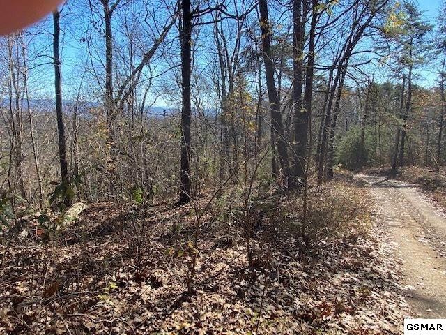 4 Cunningham Road Seymour, TN 37865 - Photo 6 of 8