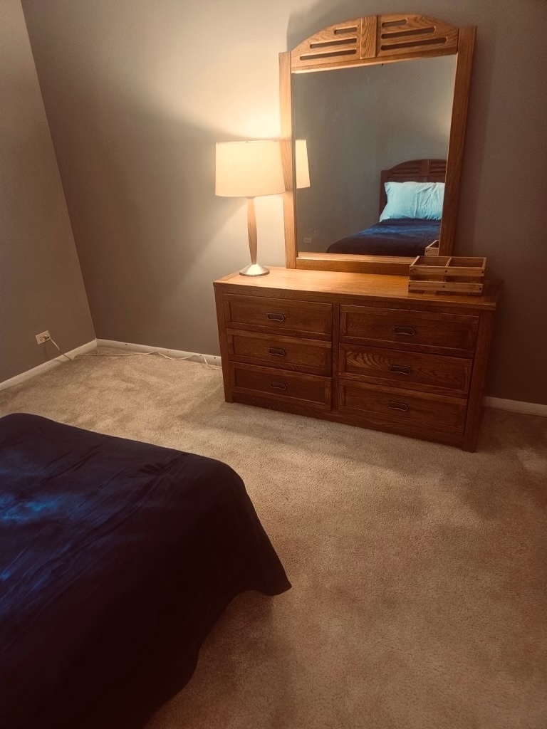 3412 Meyers Road Oak Brook, IL 60523 - Photo 16 of 29