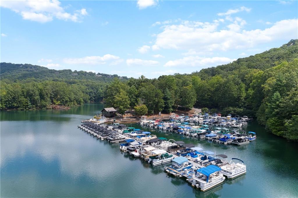 35 Red Oak Point Big Canoe, GA 30143 - Photo 57 of 62