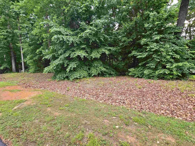 a view of backyard with green space