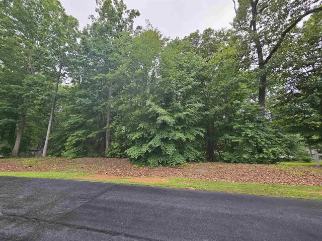 a view of a yard with large trees