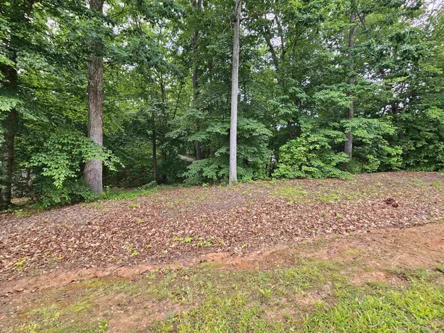 a view of a yard with plants and trees