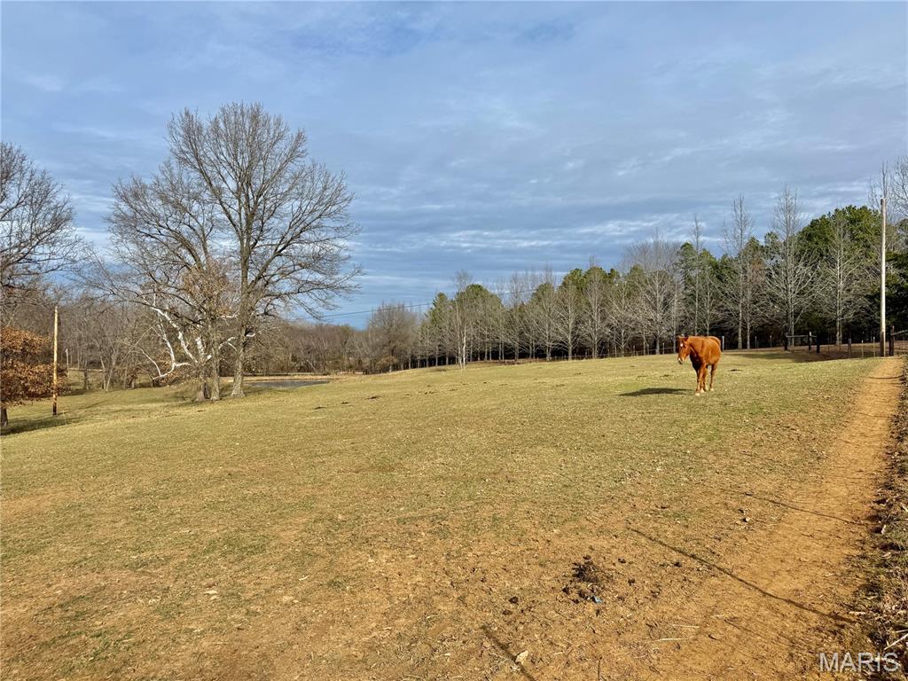 21924 Trogdon Road Farmington, MO 63640 - Photo 46 of 57