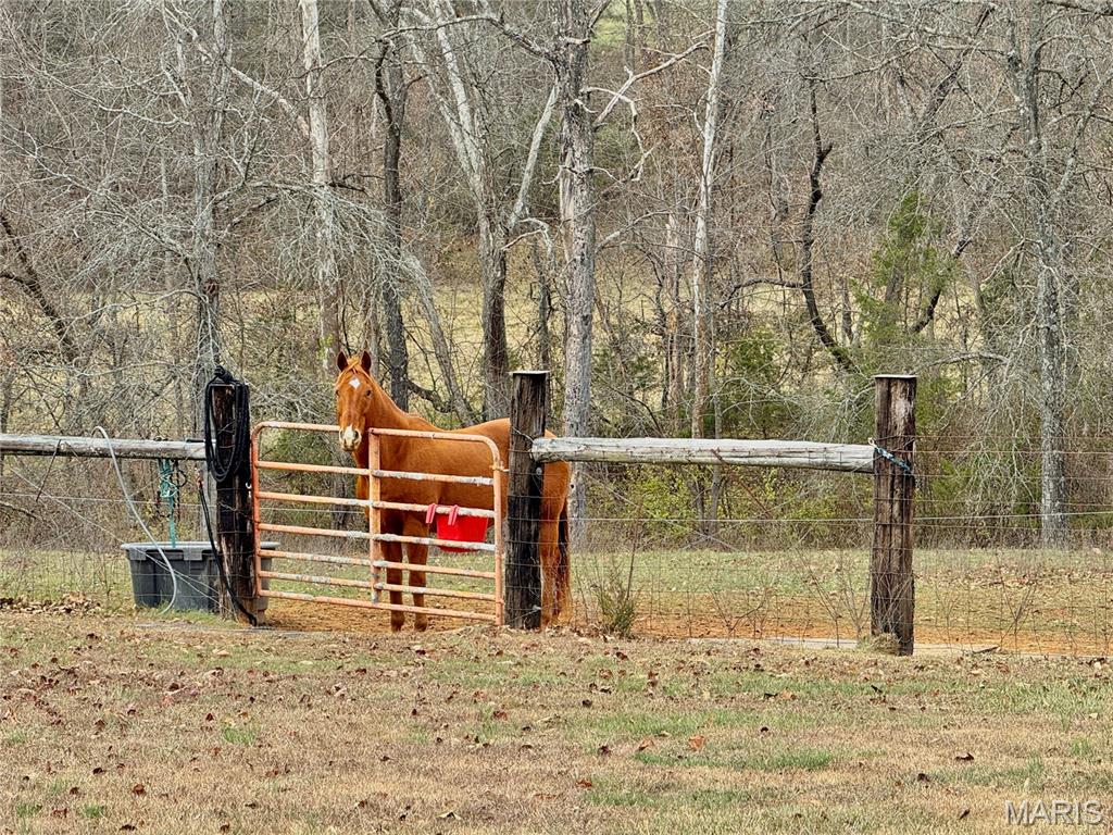 21924 Trogdon Road Farmington, MO 63640 - Photo 51 of 57