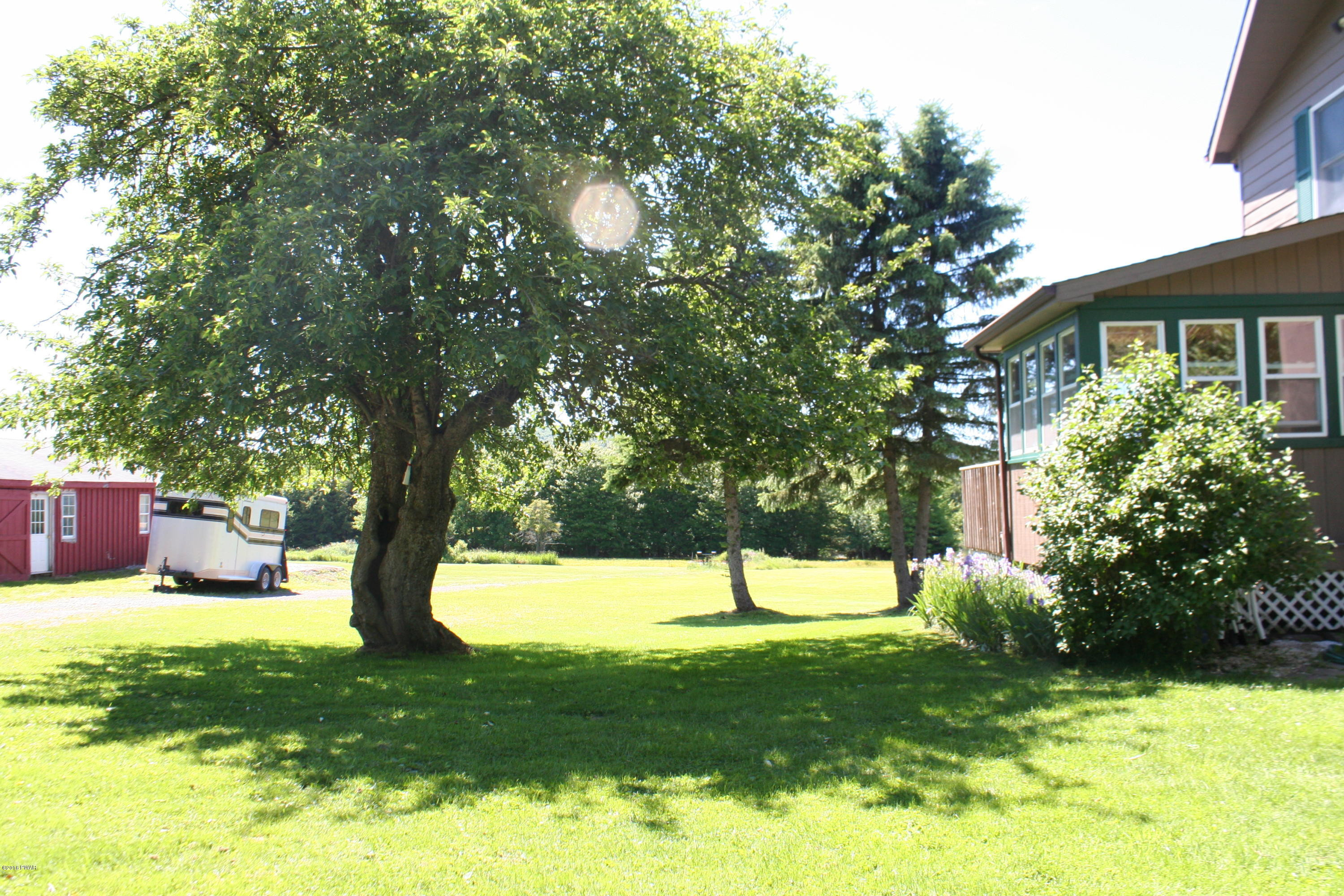 813 Dix Road Pleasant Mount, PA 18453 - Photo 41 of 47 Side yard